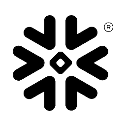 Snowflake logo